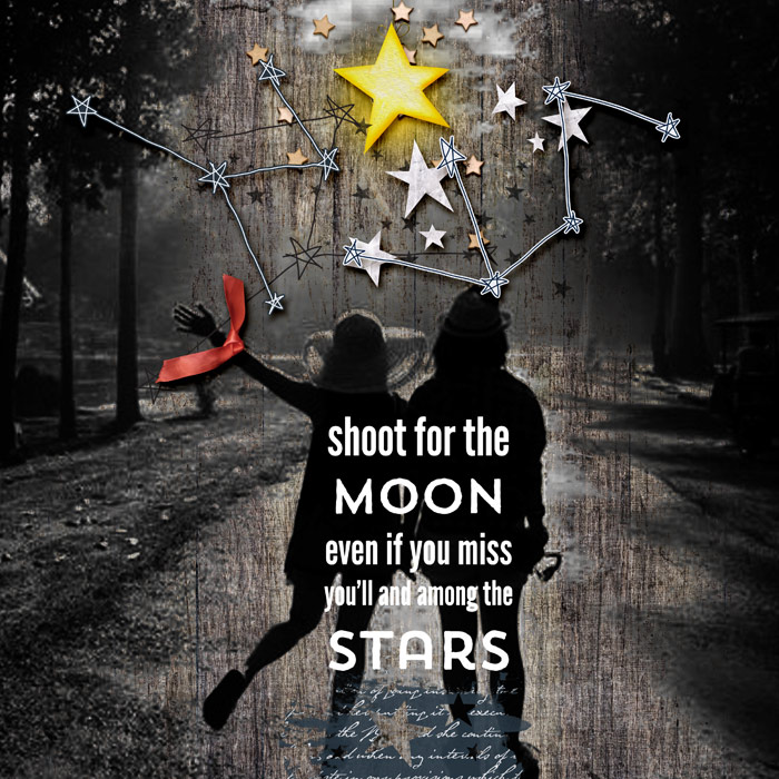 shoot for the moon