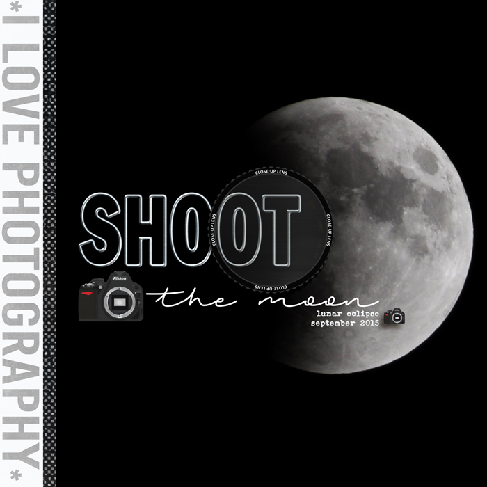 shoot the moon