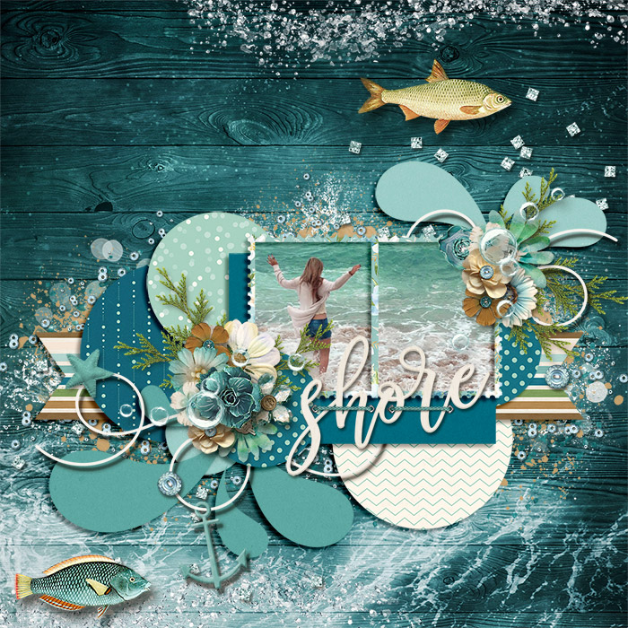 Shore