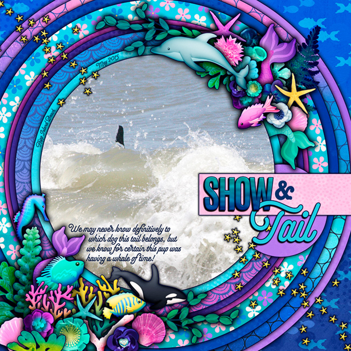 Show & Tail