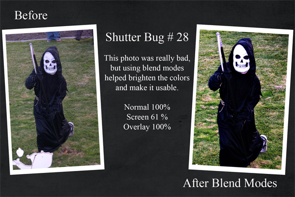 Shutter Bug Shakedown #28
