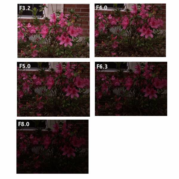 Shutterbug #04