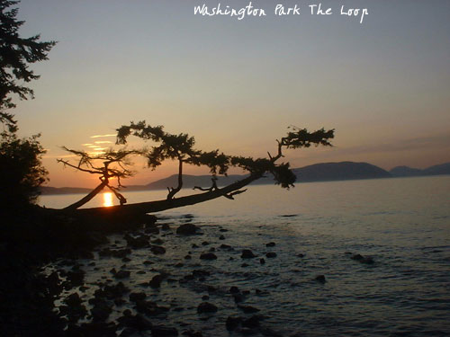 Shutterbug #29