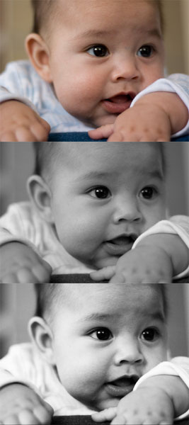 Shutterbug #3