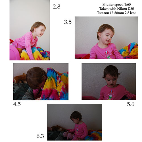 Shutterbug #4