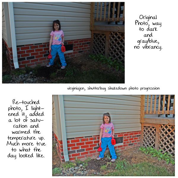 Shutterbug Photo Progression