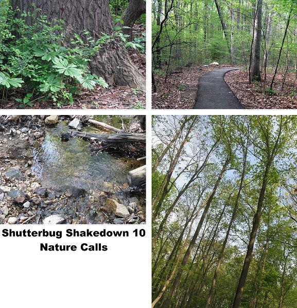 Shutterbug Shakedown  10
