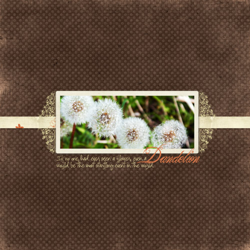 Shutterbug Shakedown #10
