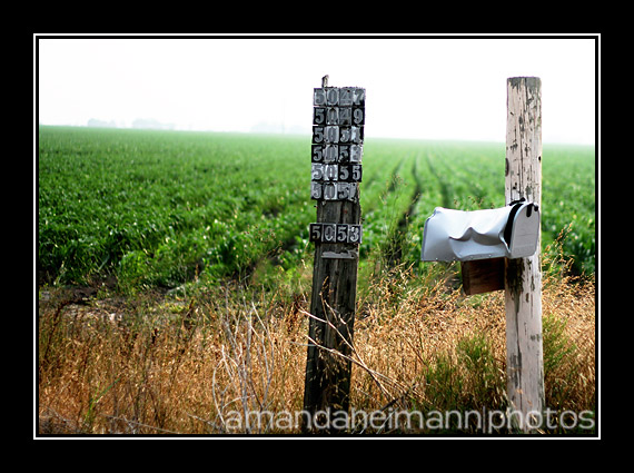 Shutterbug Shakedown #11