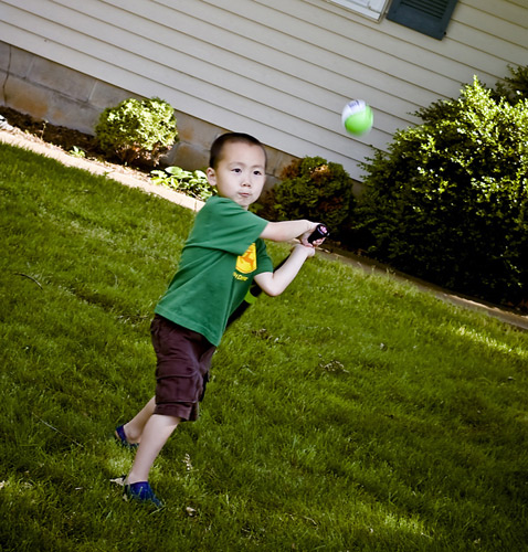 Shutterbug Shakedown #16