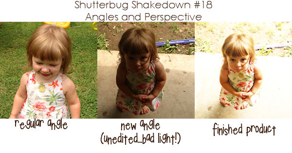 shutterbug shakedown #18
