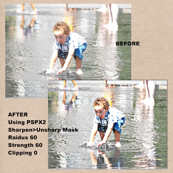 Shutterbug Shakedown #24