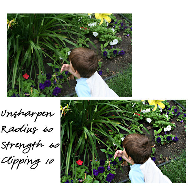 Shutterbug Shakedown # 24