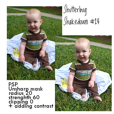 Shutterbug Shakedown #24