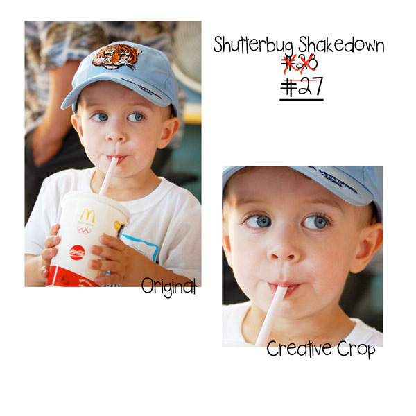 *Shutterbug Shakedown #27*