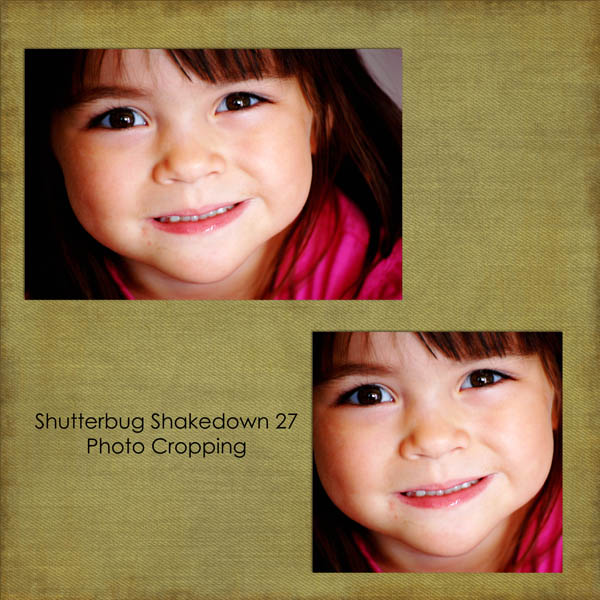 Shutterbug Shakedown #27