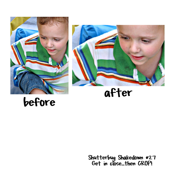 Shutterbug Shakedown #27