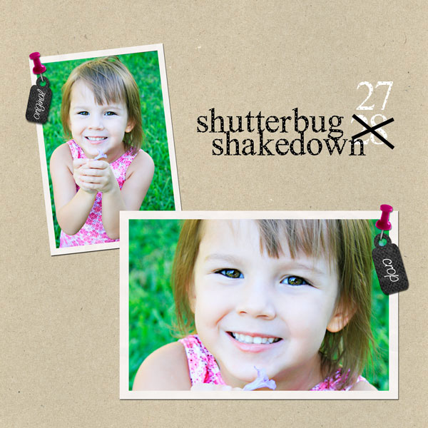 shutterbug shakedown 28