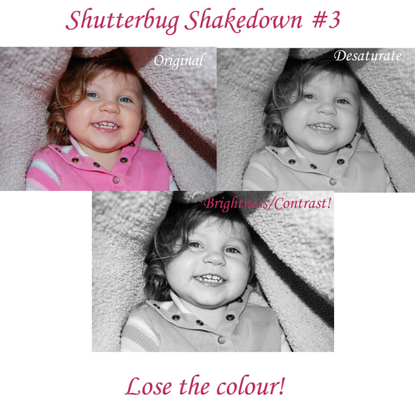 Shutterbug Shakedown #3, Lose the colour!