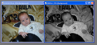 Shutterbug Shakedown #3