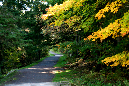 Shutterbug Shakedown #31- Fall Colors