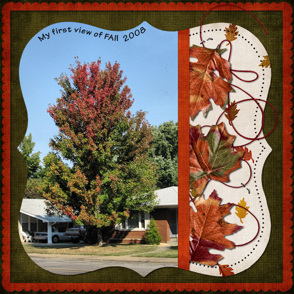 Shutterbug Shakedown 31-First View of Fall