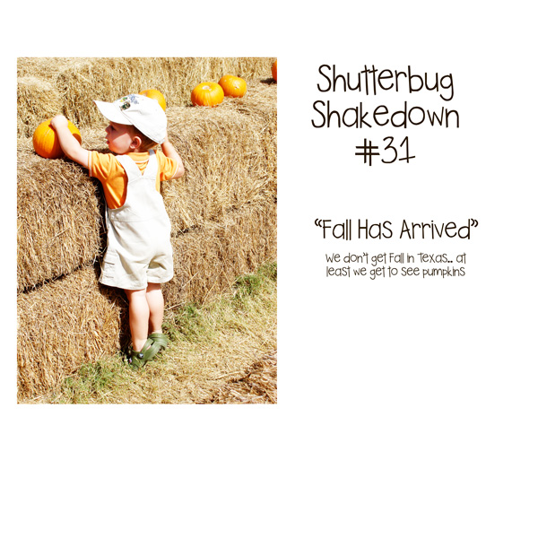 Shutterbug Shakedown #31