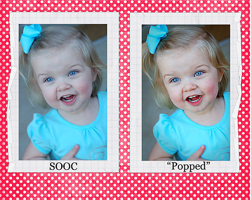 Shutterbug Shakedown #6