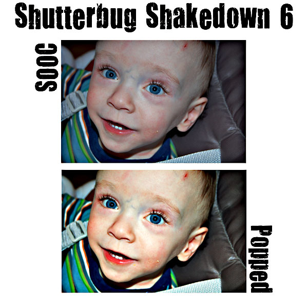 Shutterbug Shakedown 6