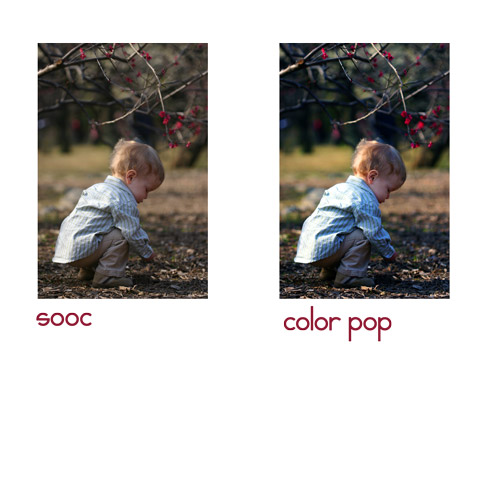 Shutterbug Shakedown #6