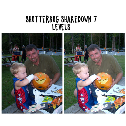 Shutterbug Shakedown 7 - Levels