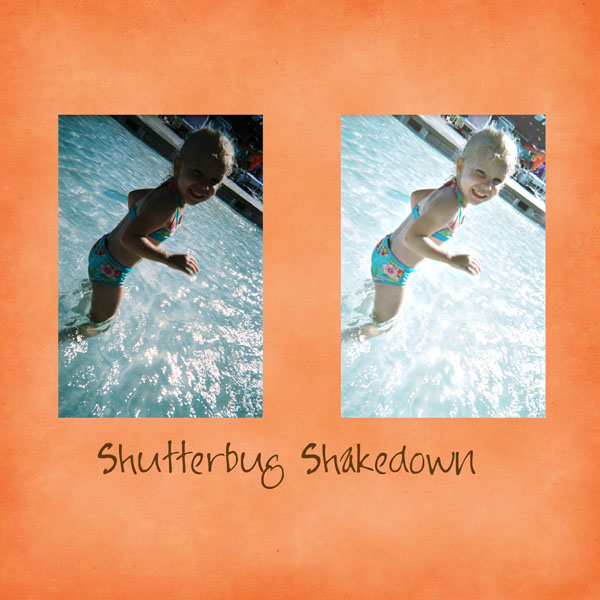 Shutterbug Shakedown #7