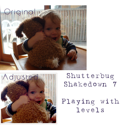 Shutterbug Shakedown #7