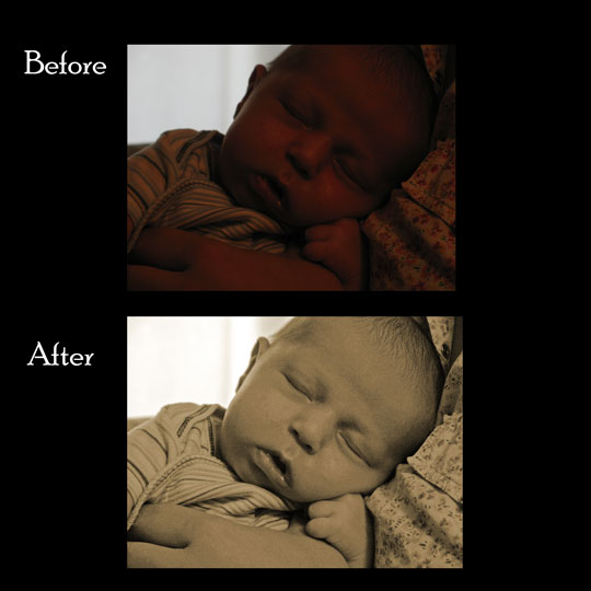 Shutterbug Shakedown #7