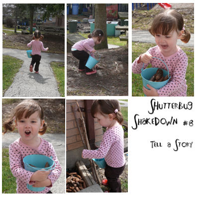 Shutterbug Shakedown #8