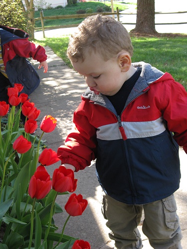 Shutterbug Shakedown  #9