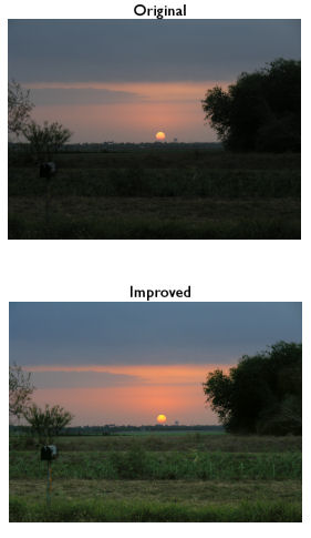 Shutterbug Shakedown-Sunrise