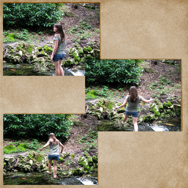 shutterbug shakedown