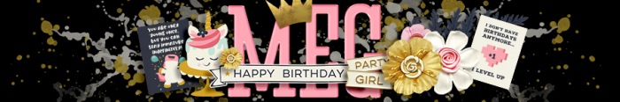 Siggy Tag for SSD Bday Party