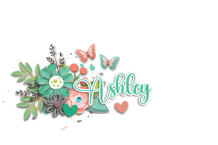 Siggy