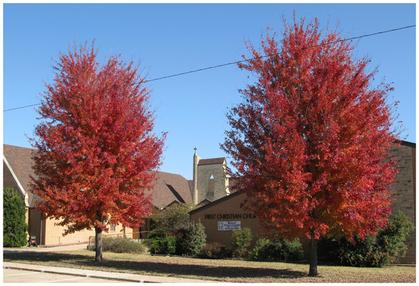 Signs of Fall