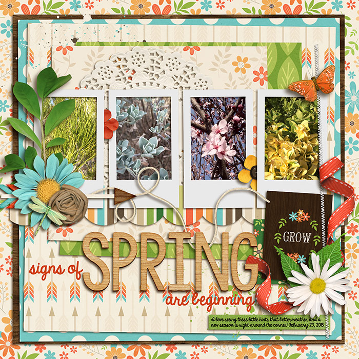 Signs of Spring