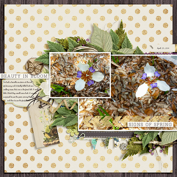 Signs of Spring