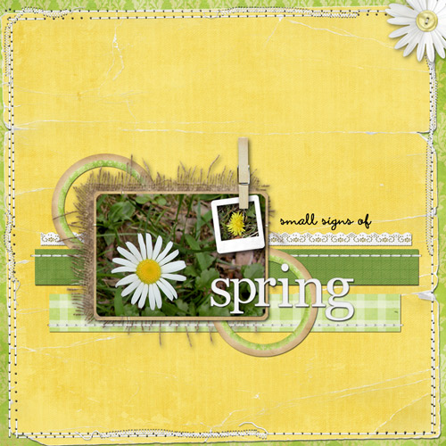 Signs of Spring
