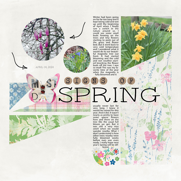 Signs of Spring