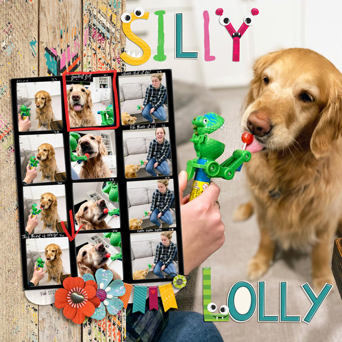 Silly Lolly