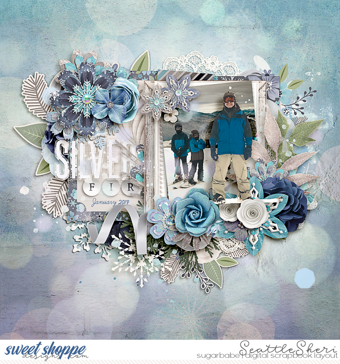 Silver Fir