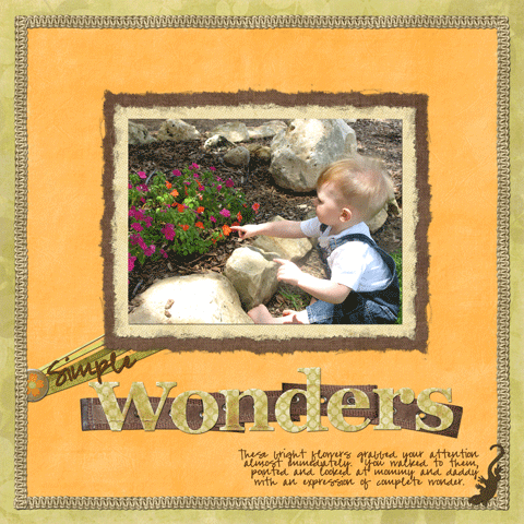 Simple Wonders