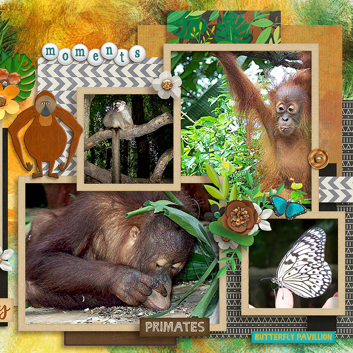 Singapore Zoo right side