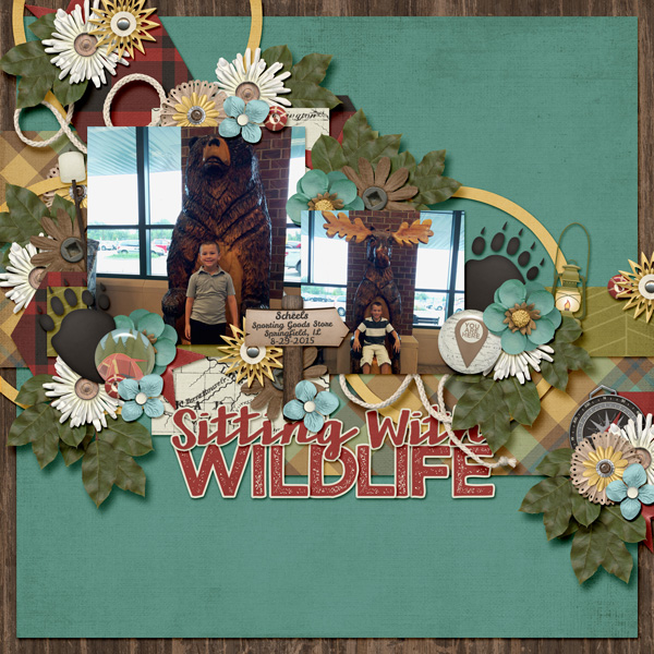 Sitting With Wildlife
